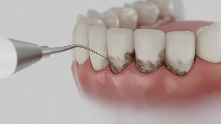Reliable Dental contractor in Salmon, ID by Dentist Open Now